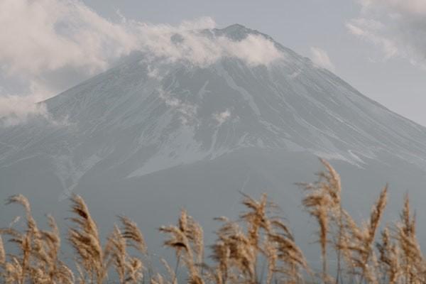 美团借钱还款日最迟几点还？可以选择分期吗？