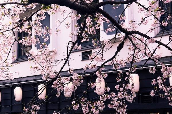 花呗逾期信用记录消除要多久才能恢复信用？逾期之后会带来哪些后果？