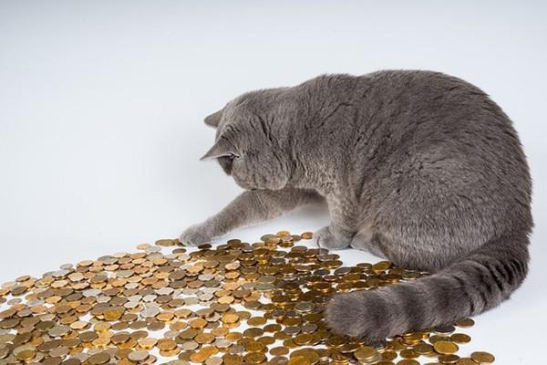 微粒贷6万四年没还了