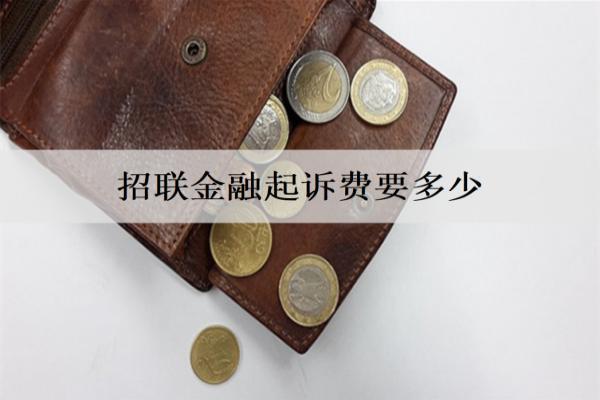 招联金融起诉费要多少