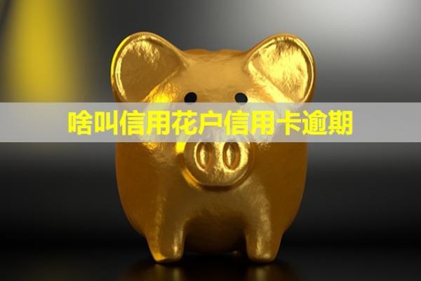 啥叫信用花户信用卡逾期？花户和黑户的区别？