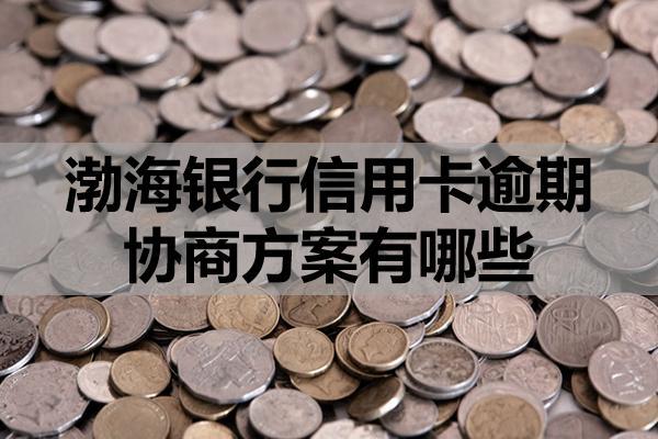 渤海银行信用卡逾期协商方案有哪些？协商流程是怎样的？