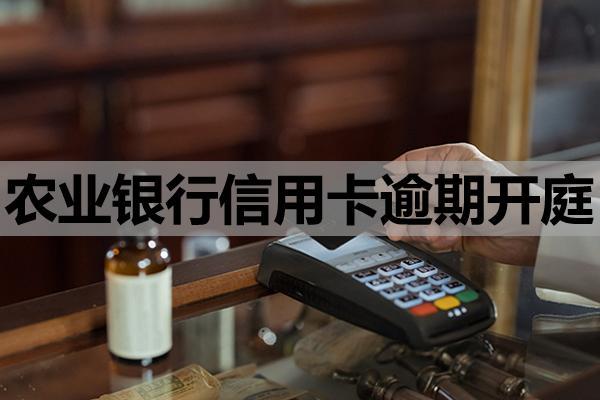 农业银行信用卡逾期开庭