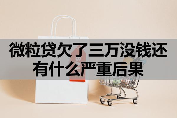 微粒贷欠了三万没钱还