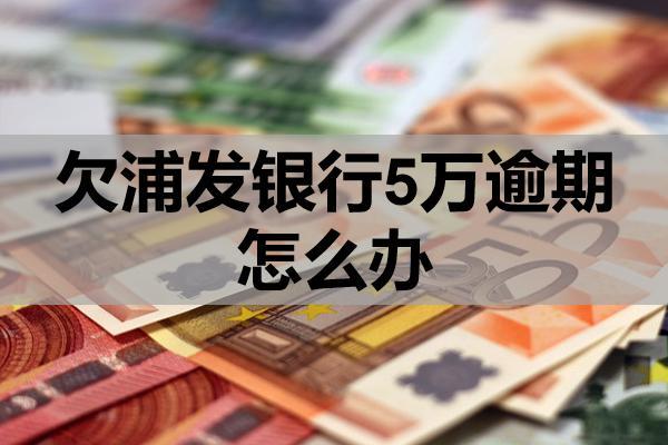 欠浦发银行5万逾期怎么办？
