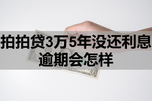 拍拍贷3万5年没还利息逾期会怎样？逾期怎么办？
