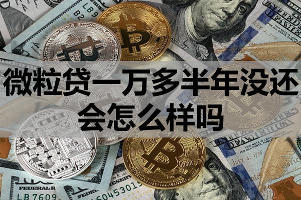 微粒贷一万多半年没还会怎么样吗？