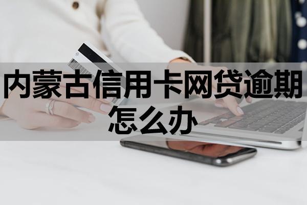 内蒙古信用卡网贷逾期怎么办？