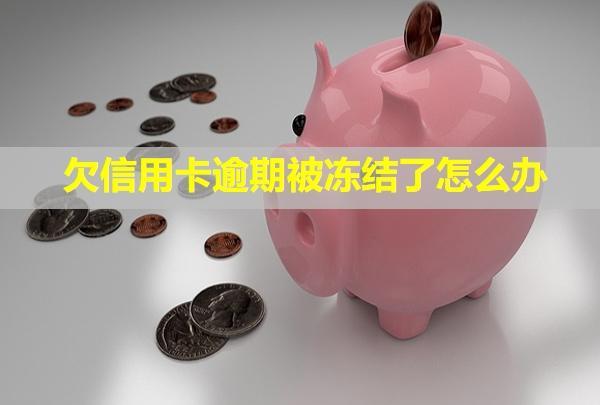 欠信用卡逾期被冻结了怎么办？完款还可以用吗？